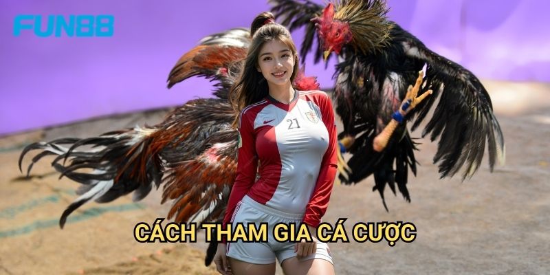 Đá Gà Thomo Fun88 - Trường Gà Uy Tín Số 1 3 Cách Tham Gia Cá Cược
