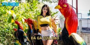 Đá Gà Cựa Dao Fun88 - Thể Loại Đá Gà Truyền Thống