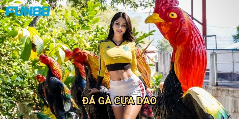 Đá Gà Cựa Dao Fun88 - Thể Loại Đá Gà Truyền Thống