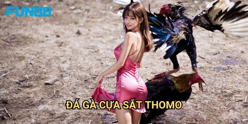 Đá Gà Cựa Sắt Thomo Fun88 - Đấu Trường Máu Lửa