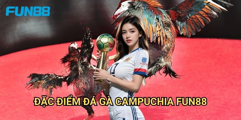 Đá Gà Campuchia Fun88 - Sân Chơi Đá Gà Quốc Tế 2 Đặc Điểm Đá Gà Campuchia Fun88
