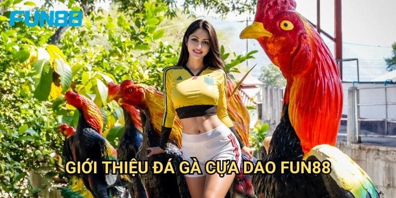 Đá Gà Cựa Dao Fun88 - Thể Loại Đá Gà Truyền Thống 2 Giới Thiệu Đá Gà Cựa Dao Fun88