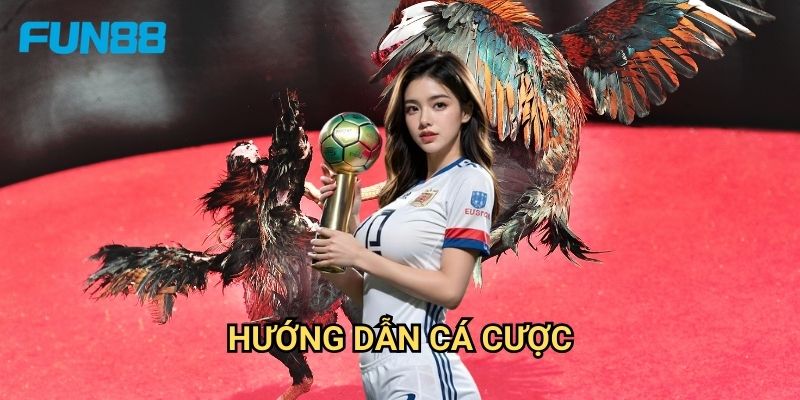 Đá Gà Campuchia Fun88 - Sân Chơi Đá Gà Quốc Tế 3 Hướng Dẫn Cá Cược