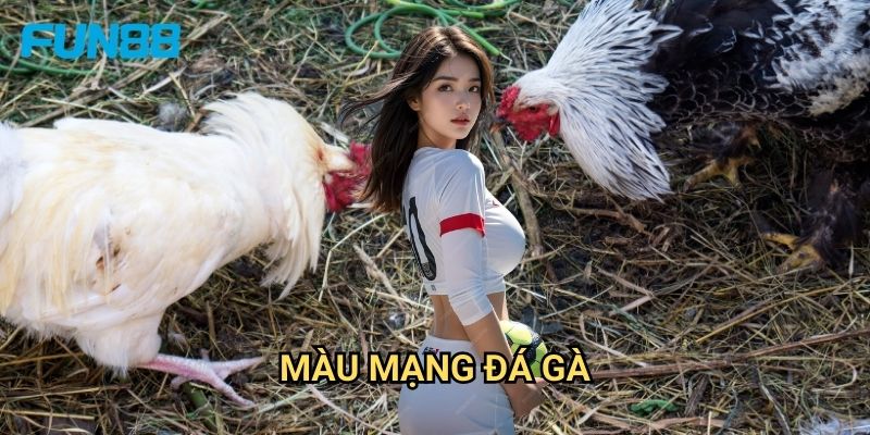 Màu Mạng Đá Gà Fun88 - Bí Mật Của Các Cao Thủ