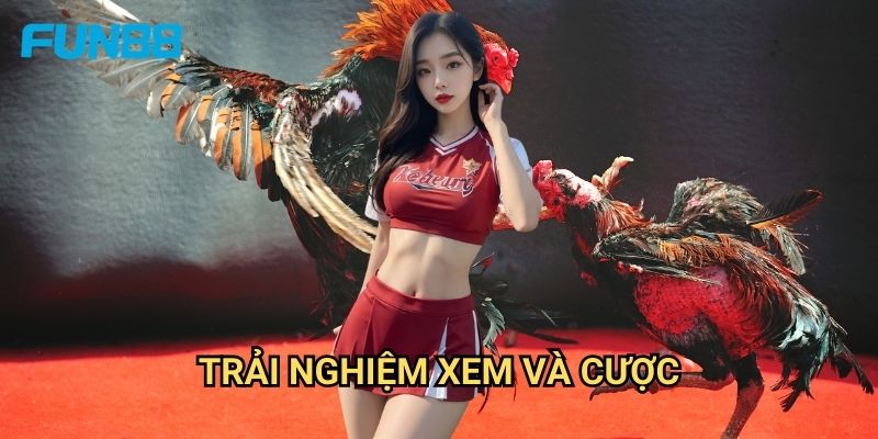 Đá Gà Trực Tiếp C1 Fun88 - Giải Đấu Đỉnh Cao 3 Trải Nghiệm Xem Và Cược